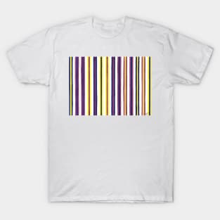 Bands of Colour T-Shirt